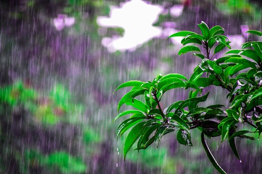 Maltempo in arrivo: dopo due mesi senza piogge da domani il tempo peggiora, precipitazioni in arrivo