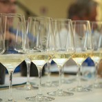 Premio Vermentino Diano Castello Premio Vermentino Diano Castello