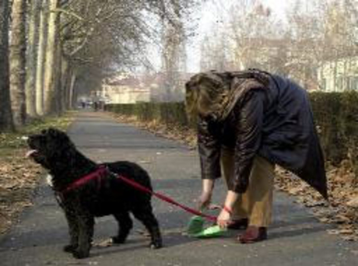 Imperia, pipì e deiezioni canine, un lettore è perplesso sulla ricetta di Scajola: "Ha ragione in toto, ma..." Imperia, pipì e deiezioni canine, un lettore è perplesso sulla ricetta di Scajola: "Ha ragione in toto, ma..."