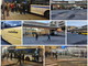 Green Pass 'rafforzato' e Ffp2 sui mezzi di trasporto: prima mattinata con pochi controlli in provincia (Foto e Video)