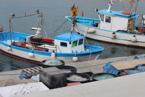Fermo pesca: oggi la conferma di Coldiretti Impresapesca, in Liguria arriverà ad ottobre