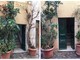 Santo Stefano al Mare: qualcuno ha avvelenato due piante in via Roma, Comune e residenti per la salvaguardia del verde