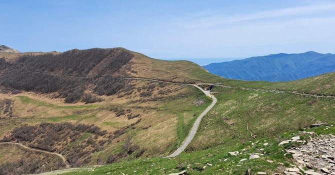 Natura e Biodiversità, al via le escursioni gratuite nel Parco delle Alpi Liguri Natura e Biodiversità, al via le escursioni gratuite nel Parco delle Alpi Liguri