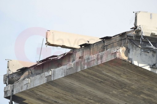 Oggi a Genova il secondo anniversario del ponte 'Morandi': cerimonia alle 10.30 e fiaccolate alle 21 Oggi a Genova il secondo anniversario del ponte 'Morandi': cerimonia alle 10.30 e fiaccolate alle 21