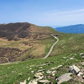 Natura e Biodiversità, al via le escursioni gratuite nel Parco delle Alpi Liguri Natura e Biodiversità, al via le escursioni gratuite nel Parco delle Alpi Liguri