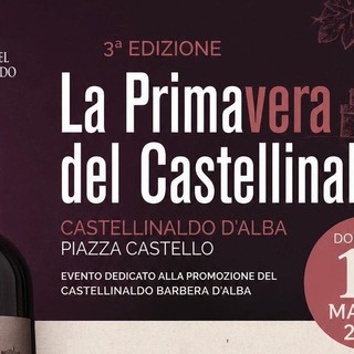 La Primavera del Castellinaldo Barbera d’Alba