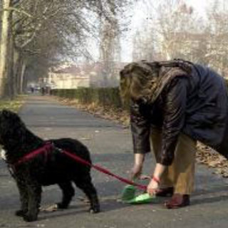 Imperia, pipì e deiezioni canine, un lettore è perplesso sulla ricetta di Scajola: "Ha ragione in toto, ma..." Imperia, pipì e deiezioni canine, un lettore è perplesso sulla ricetta di Scajola: "Ha ragione in toto, ma..."
