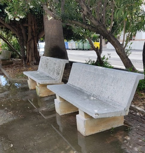 Le immagini delle zone oggetto della pulizia Le immagini delle zone oggetto della pulizia