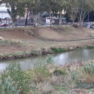 Imperia: al via la pulizia dei torrenti, operai al lavoro sul letto dell'Impero (Foto) Imperia: al via la pulizia dei torrenti, operai al lavoro sul letto dell'Impero (Foto)