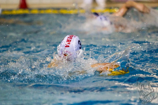 Pallanuoto, impegno casalingo dopo la vittoria di Novara per la Rari Imperia che ospita l'Aquatica Torino