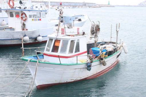 ‘Giovani che sfidano il Covid’: al via la corsa all’oscar per gli agricoltori e pescatori liguri