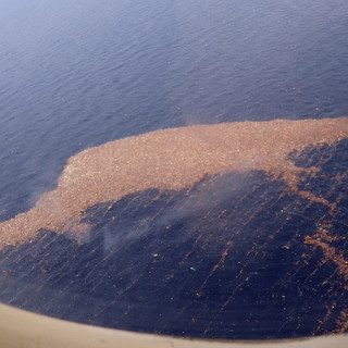 Photo by US Navy of the Great Pacific Garbage Patch