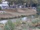 Imperia: al via la pulizia dei torrenti, operai al lavoro sul letto dell'Impero (Foto) Imperia: al via la pulizia dei torrenti, operai al lavoro sul letto dell'Impero (Foto)