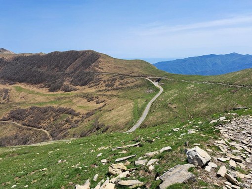 Natura e Biodiversità, al via le escursioni gratuite nel Parco delle Alpi Liguri