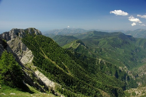 Parchi, Regione Liguria: al via le Summer School interdisciplinari con calendario formativo su svariati target di riferimento