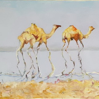 Cervo: dal 4 agosto al 2 settembre la mostra 'Riflessi e Silenzi' di Antonella Tavella e Francesco Pellerano