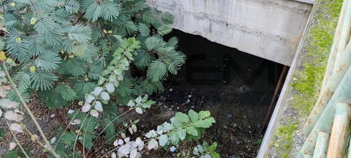 Tragedia a Sanremo: trovato morto il 25enne scomparso dal 30 dicembre (Foto)