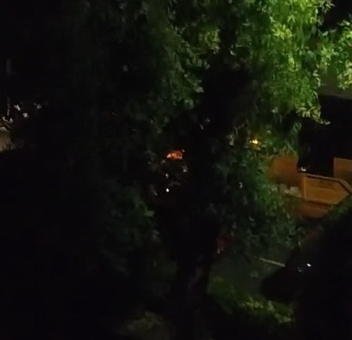 Imperia senza padroni: lamentele dei cittadini sulla rumorosità della raccolta del vetro in orario notturno (Video) Imperia senza padroni: lamentele dei cittadini sulla rumorosità della raccolta del vetro in orario notturno (Video)