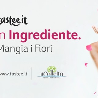 Il futuro del gusto è ligure e floreale: Be!GIN all'Expo Coop Liguria a Genova dal 10 al 12 ottobre Il futuro del gusto è ligure e floreale: Be!GIN all'Expo Coop Liguria a Genova dal 10 al 12 ottobre