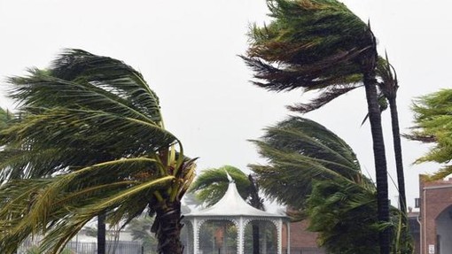 Vento forte in tutta la provincia: la punta a Poggio Fearza con quasi 90 km/h, raffiche per tutta la giornata