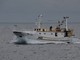 Giornata mondiale degli oceani: da Coldiretti Liguria l’sos pesce, la flotta si riduce