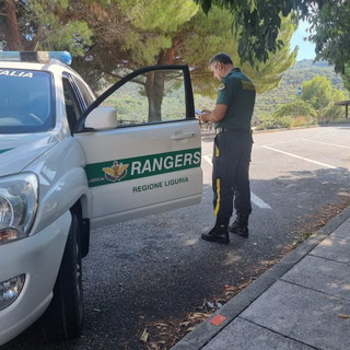 Controlli dei Rangers d'Italia sull'Autostrada A10 Genova-Ventimiglia contro l'abbandono degli animali Controlli dei Rangers d'Italia sull'Autostrada A10 Genova-Ventimiglia contro l'abbandono degli animali