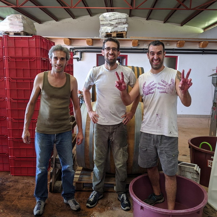 Il progetto iga alla rassegna ‘La forza della natura’: alle 17 incontro con Andrea Filippini dell’azienda Siemàn Il progetto iga alla rassegna ‘La forza della natura’: alle 17 incontro con Andrea Filippini dell’azienda Siemàn