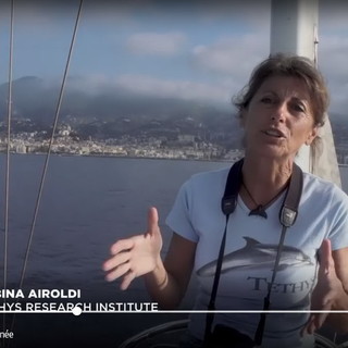 Il Santuario dei Cetacei del Mar Ligure in uno splendido documentario della rete franco-tedesca 'Arte' (Foto e Video)