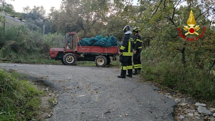 Imperia: meno incendi, ma più emergenze per i vigili del fuoco nel 2024 Imperia: meno incendi, ma più emergenze per i vigili del fuoco nel 2024