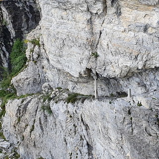 Sui sentieri dell'entroterra ligure di Ponente e sulle Alpi: settimane ricche di escursioni con ‘Monesi Young’ da sabato a mercoledì