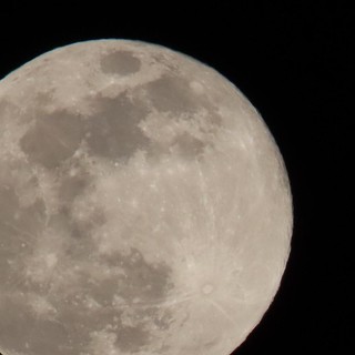 Ecco lo spettacolo della Super Luna: ieri notte il satellite era a 'solo' 356.761 chilometri dalla Terra (Video)