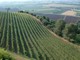 Psr Liguria: vice presidente Piana “Oltre 8 milioni di euro per lo sviluppo agro-forestale e della filiera agricola”