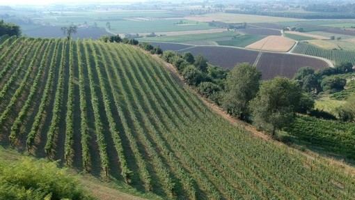 Psr Liguria: vice presidente Piana “Oltre 8 milioni di euro per lo sviluppo agro-forestale e della filiera agricola”