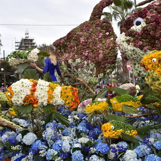 Speciale Weekend: il corso fiorito a Sanremo, le giornate Fai di Primavera a Vallebona e molto altro