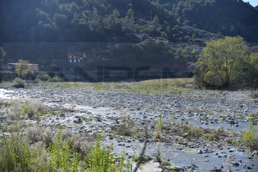 Emergenza siccità: i giovani di Coldiretti Imperia “Siamo giovani ma non sprovveduti” Emergenza siccità: i giovani di Coldiretti Imperia “Siamo giovani ma non sprovveduti”