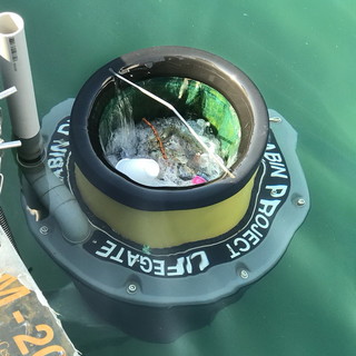 Fineco: rafforza il proprio impegno a tutela dei mari italiani, raddoppiati i Seabin in collaborazione con LifeGate Fineco: rafforza il proprio impegno a tutela dei mari italiani, raddoppiati i Seabin in collaborazione con LifeGate