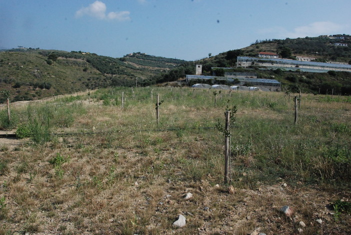 Discarica di Ponticelli, Bozzano interroga la Provincia: “Manca trasparenza sui costi delle bonifiche” Discarica di Ponticelli, Bozzano interroga la Provincia: “Manca trasparenza sui costi delle bonifiche”