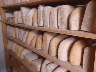 Foto Aldo Lomanto Foto Aldo Lomanto