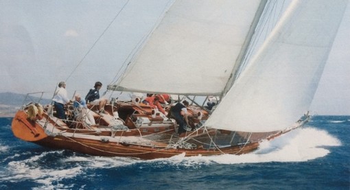Il Tarantella Il Tarantella
