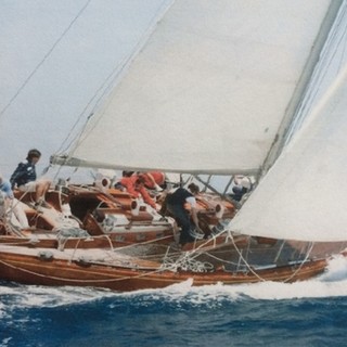 Il Tarantella