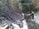 Imperia: cade il ramo di un albero sulla strada a Massabovi, intervento dei Vigili del Fuoco