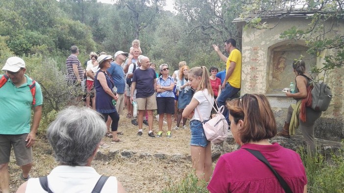 Torre Paponi partecipa ad 'Oliveti Aperti': domenica 19 giugno, dalle 17, visite guidate e degustazioni nel borgo