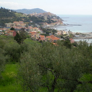 Città green, Imperia promossa da Legambiente: balzo in avanti di 41 posizioni Città green, Imperia promossa da Legambiente: balzo in avanti di 41 posizioni