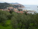 Città green, Imperia promossa da Legambiente: balzo in avanti di 41 posizioni Città green, Imperia promossa da Legambiente: balzo in avanti di 41 posizioni
