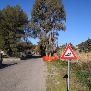 Imperia: grosso buco sulla banchina in via Ballestra per l'abbattimento di un eucalyptus, installata la segnaletica di pericolo (Foto)