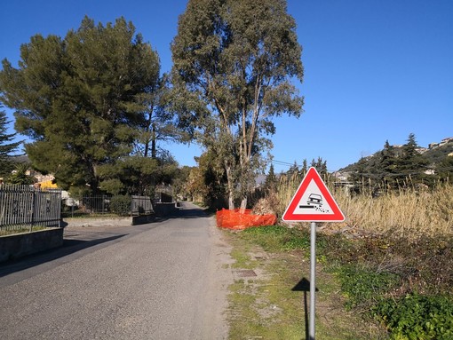 Imperia: grosso buco sulla banchina in via Ballestra per l'abbattimento di un eucalyptus, installata la segnaletica di pericolo (Foto)