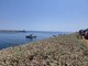 Identificate entrambe le vittime annegate alla foce dell'Impero: sono due giovani tunisini di 25 e 26 anni
