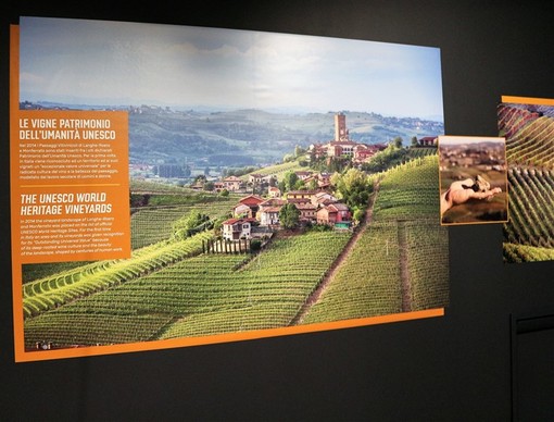 A Priocca (CN) è stato inaugurato il nuovissimo Wine Experience, un percorso esperienziale e interattivo per scoprire il mondo affascinante del vino