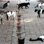 L'AMARCORD DEL SABATO. Estate ‘89: allarme gatti randagi a Porto Maurizio e Oneglia L'AMARCORD DEL SABATO. Estate ‘89: allarme gatti randagi a Porto Maurizio e Oneglia