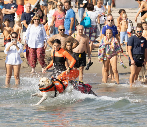Dopo l'addio a Diano Marina il WindFestival si sposta di poco ed approda nella vicina Andora Dopo l'addio a Diano Marina il WindFestival si sposta di poco ed approda nella vicina Andora